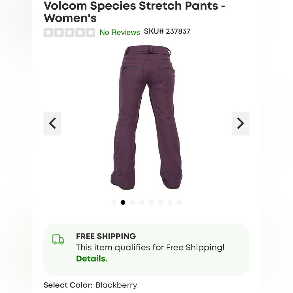 Volcom women’s species snowboard pants small